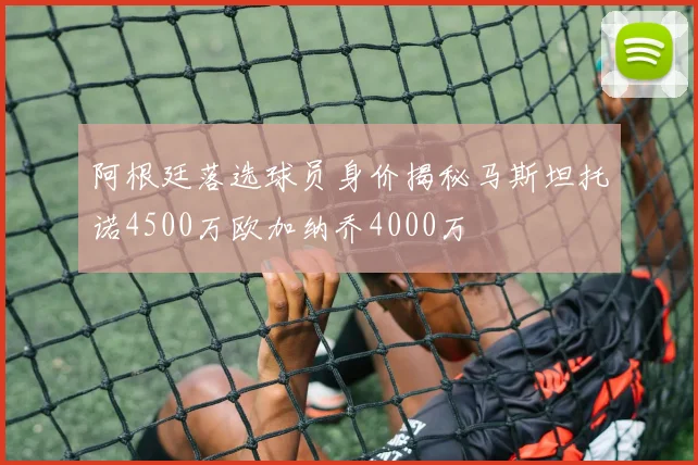 阿根廷落选球员身价揭秘马斯坦托诺4500万欧加纳乔4000万